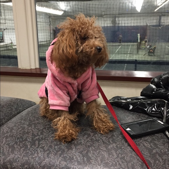 Meet your Posher, Natalie - Picture 1 of 1